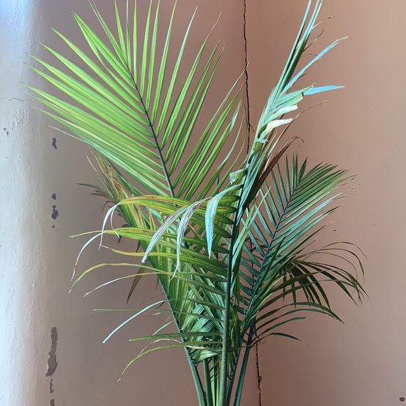 Vintage Tops - Mandarin Collar Tunic